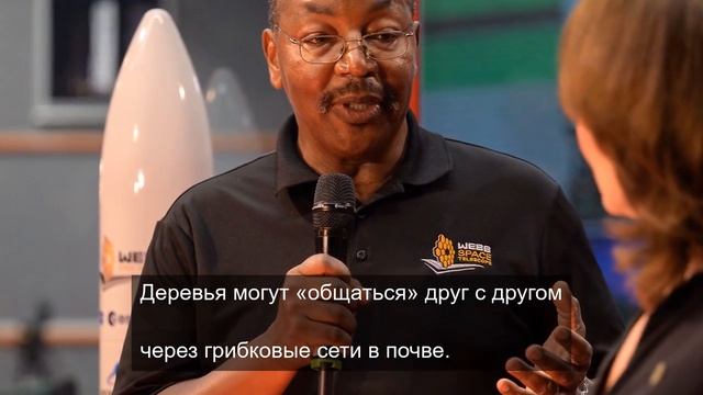 Прекрасное чувство звука