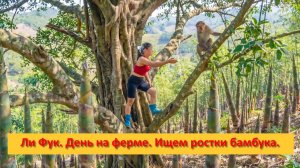 Ли Фук. Вьетнам. День на ферме. Ищем ростки бамбука.