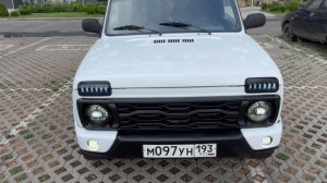 Нивасик обзор