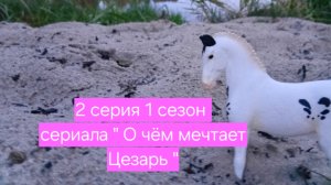 1 сезон 2 серия сериала «О чем мечтает Цезарь «