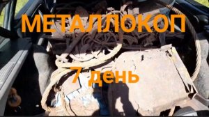 МЕТАЛЛОКОП/7 ДЕНЬ/СКОЛЬКО ЖЕЛЕЗА МОЖНО НАКОПАТЬ ЗА 10 ДНЕЙ МД4030/ОТЛИЧНОЕ ЖЕЛЕЗО СССР/АРХИВ