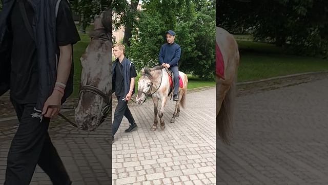 катаюсь на лошади смотреть онлайн