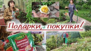 Обычный / необычный день на даче.