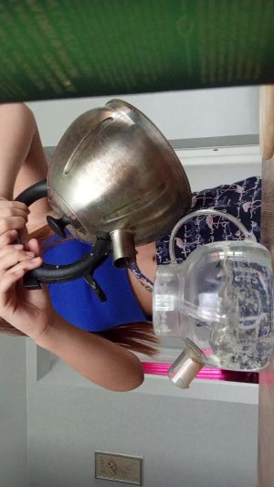 Готовим чаек