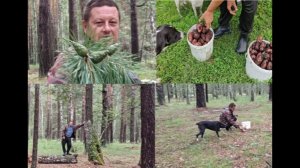 Новый день.Поездка в лес.Признание в любви.