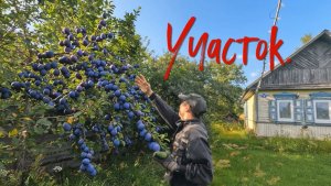 Участок.