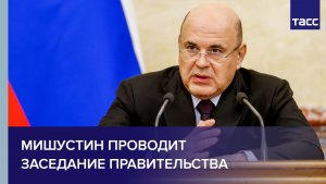 Мишустин проводит заседание правительства
