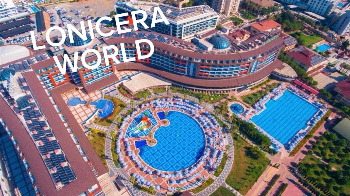 LONICERA WORLD