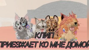 КЛИП под музыку «ПРИЕЗЖАЙ КО МНЕ ДОМОЙ»