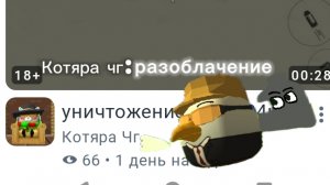 разоблачение на Котяру чг