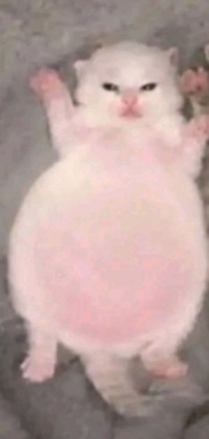 мы
