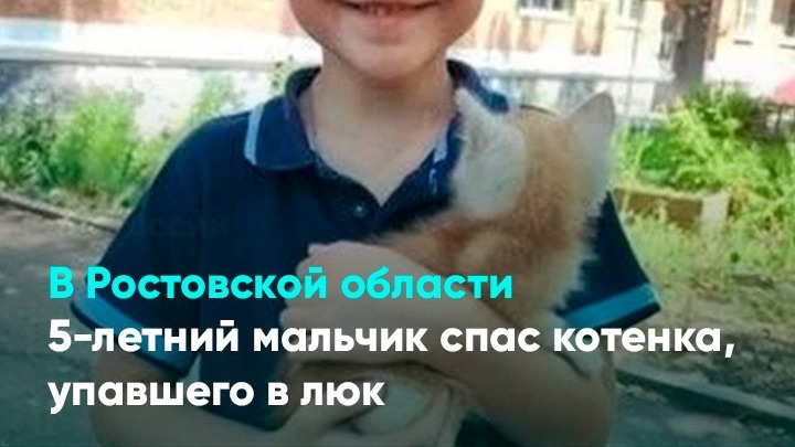 В Ростовской области 5-летний мальчик спас котенка, упавшего в люк смотреть онлайн
