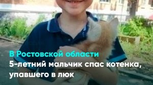 В Ростовской области 5-летний мальчик спас котенка, упавшего в люк