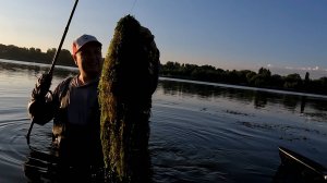 Рыбалка на амура и сазана в Ростове-на-Дону