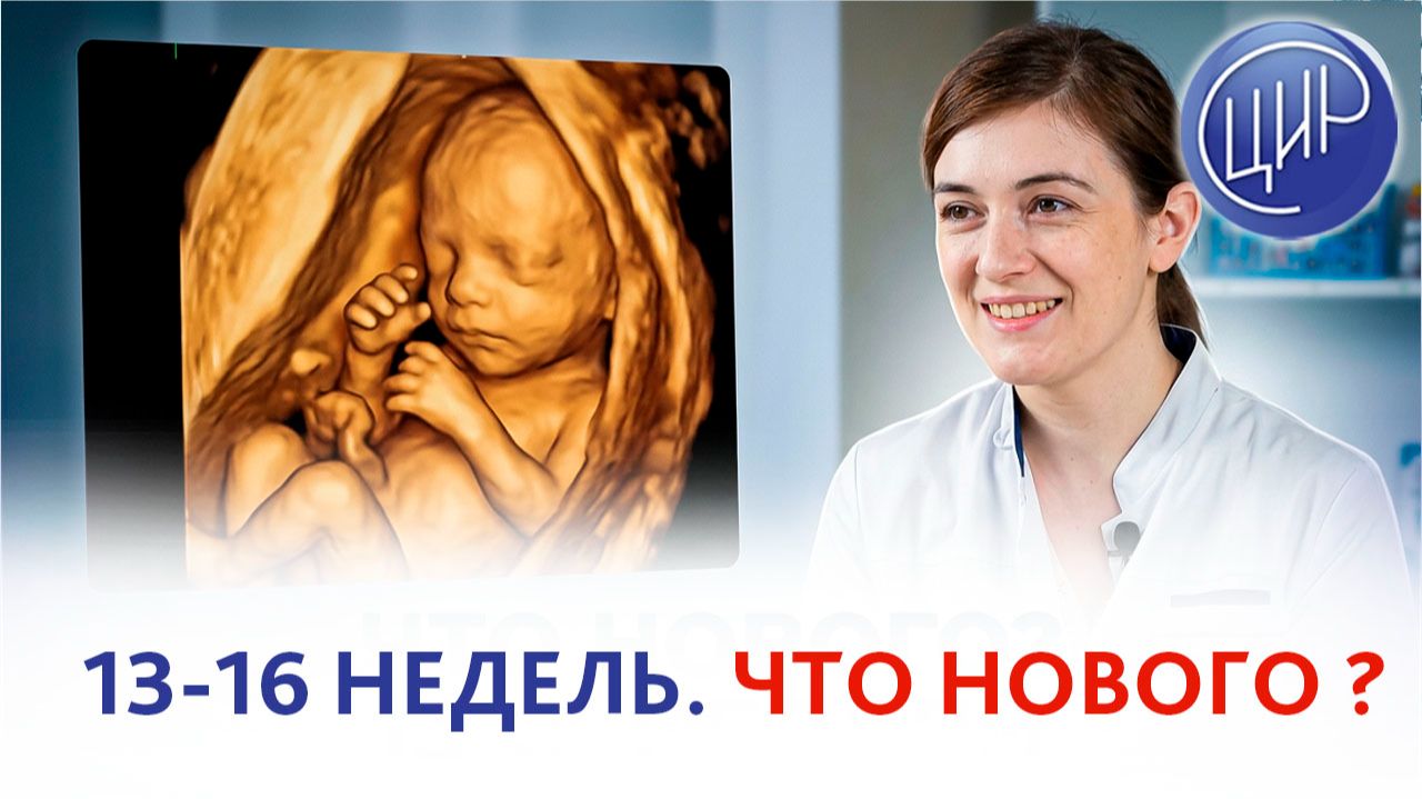13-16 недели беременности: развитие плода и советы акушера-гинеколога