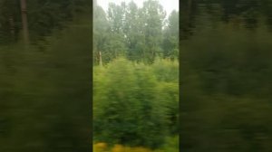 город Нижний Новгород и 🚆 ласточке до Пижма 22.07.2026 год .