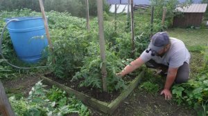 Вечерняя аэробика в огороде Надо ухаживать, а кто зарастет ПОДВАЛ ИЛЬИЧА