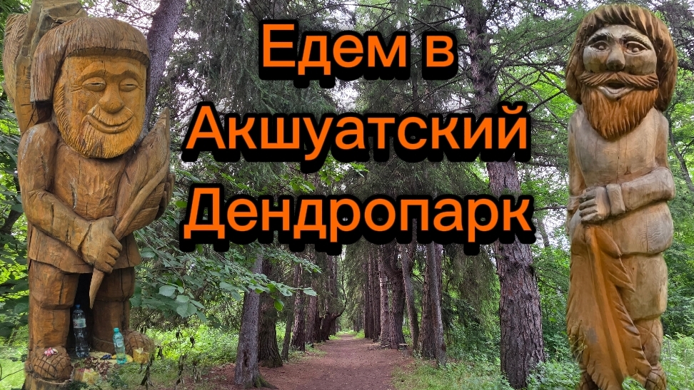 Заросший Акшуатский дендропарк. Поливановская сосновая аллея. Маленькие путешествия. Часть 2