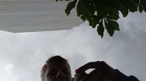 пробую мороженое Сикс севен