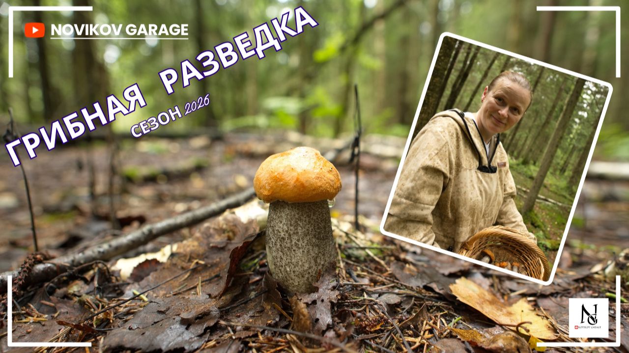 Грибная разведка 23 июля 2026. Всеволожский район. смотреть онлайн