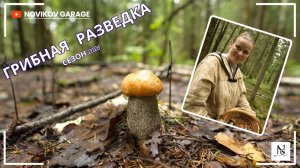 Грибная разведка 23 июля 2026. Всеволожский район.