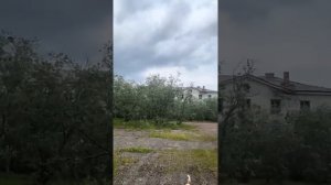 Поселок Заполярный Воркута.