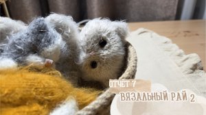 ВЯЗАЛЬНЫЙ РАЙ - 2 / Отчет 7