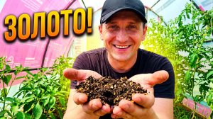 КАК ПРИГОТОВИТЬ ИЗ ОПИЛОК ОРГАНИЧЕСКОЕ УДОБРЕНИЕ (Выпуск №3)