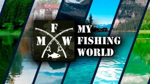 My fishing world с нуля часть9#открыли новую локацию#поймали сома!