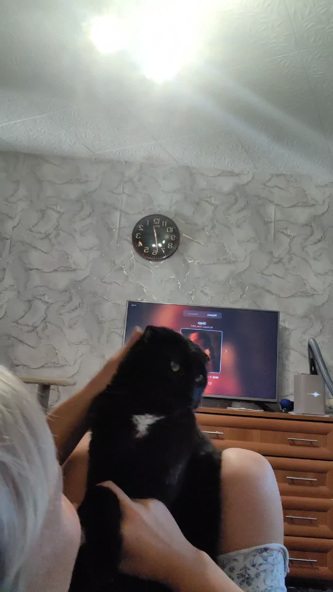 у всех кот как кот а у меня котик вот такой смотреть онлайн