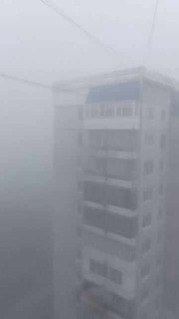 Самый густой туман за мою жизнь! смотреть онлайн