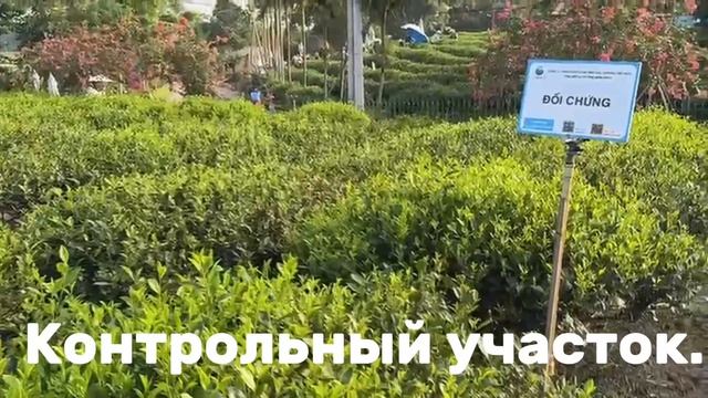 Сравнительный тест Tenabio RU (TERRA 7) во Вьетнаме смотреть онлайн