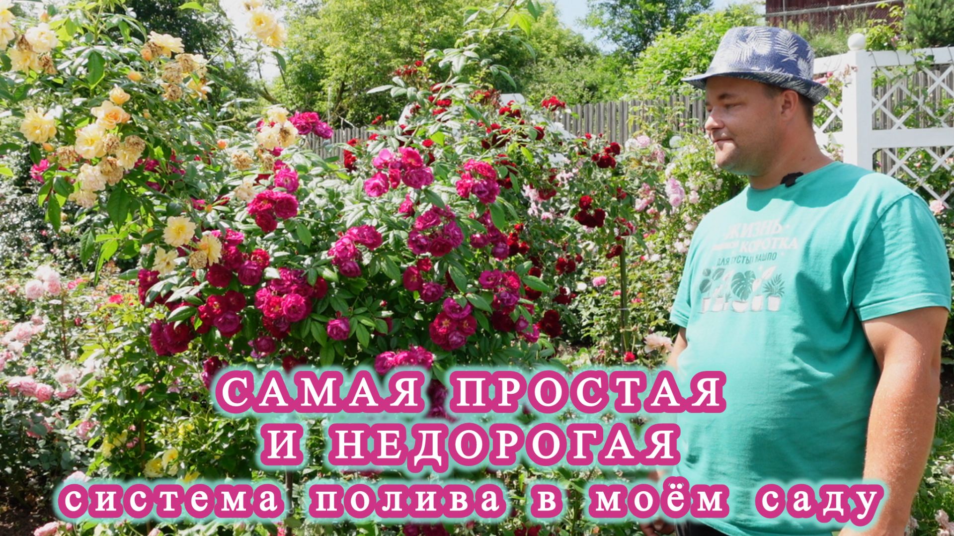 Честный отзыв и обзор полезностей для сада.