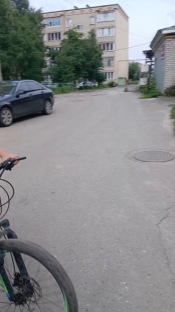 типы людей объезжают лужу