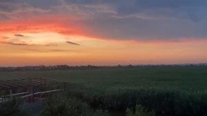 Танцуем с Крис/ Пляж/ Влог/ Silena Sway Психолог