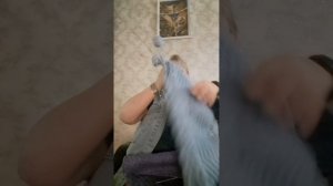 меня блогера рутубе РЖЯ не будет до свидания!