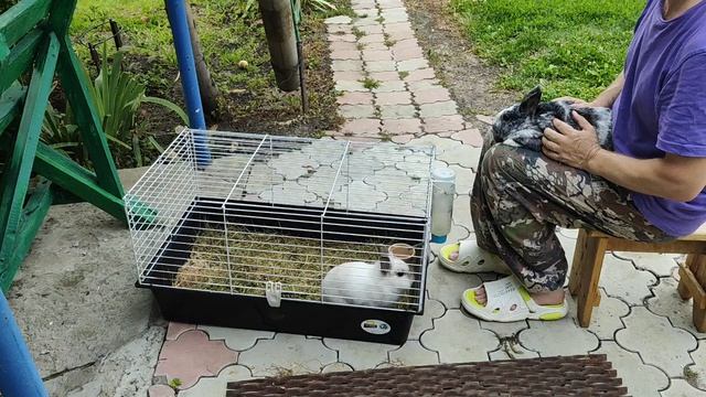 1000040082.mp4 смотреть онлайн