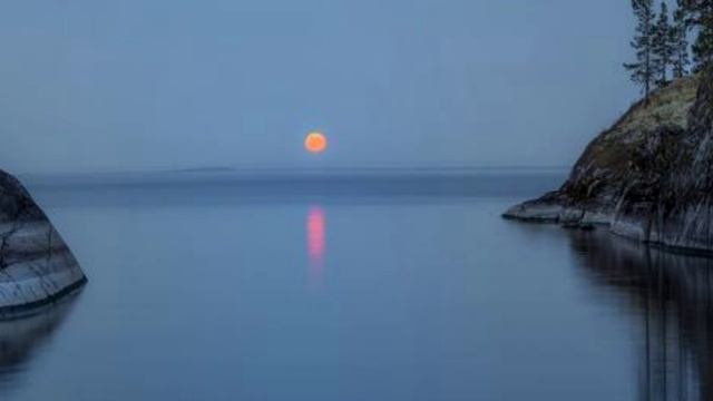 Проснулась ночь. (1) смотреть онлайн