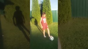 Обучение финтам