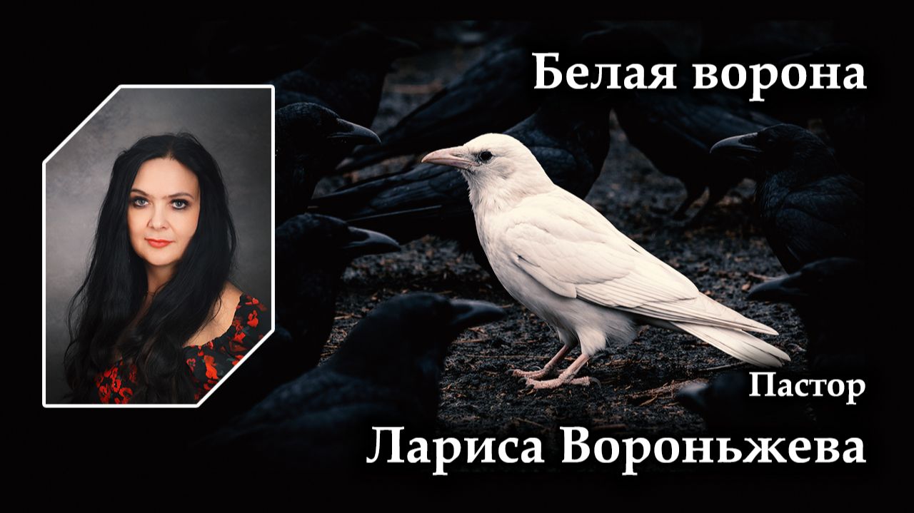 Белая ворона 18.07.2026