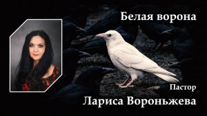 Белая ворона 18.07.2026