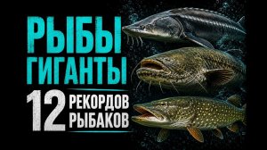 12 рыб-РЕКОРДСМЕНОВ России — вес каждой УДИВИТ. От карася до белуги