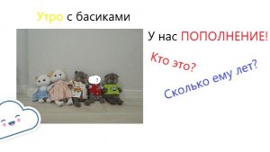 Утро с басиками/Чем занимаемся/ У НАС ПОПОЛНЕНИЕ!!!🐱
