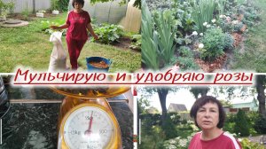 Для роз, им нравится и мне!