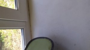 🌲🌳🌺🌸🌈💧🏖️🌅🐶🐶🐶🐶🐶🦮🐕🦺🐕