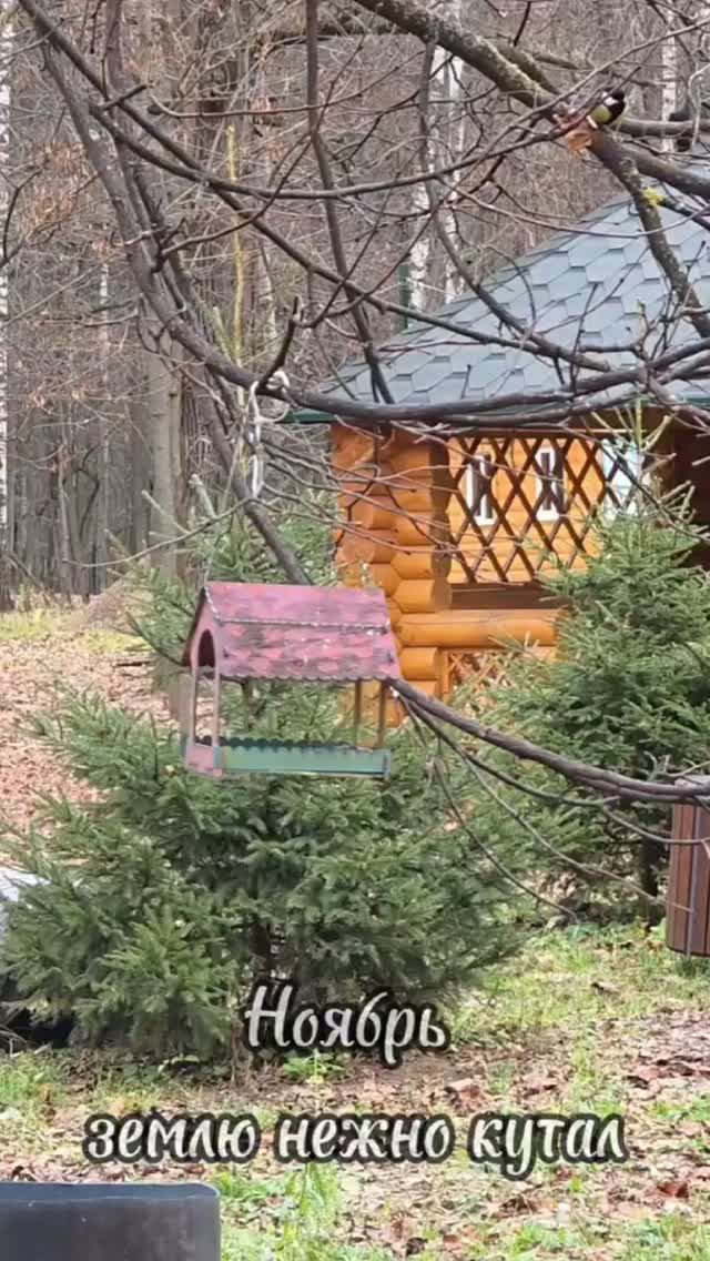 "Ноябрь землю нежно кутал" смотреть онлайн