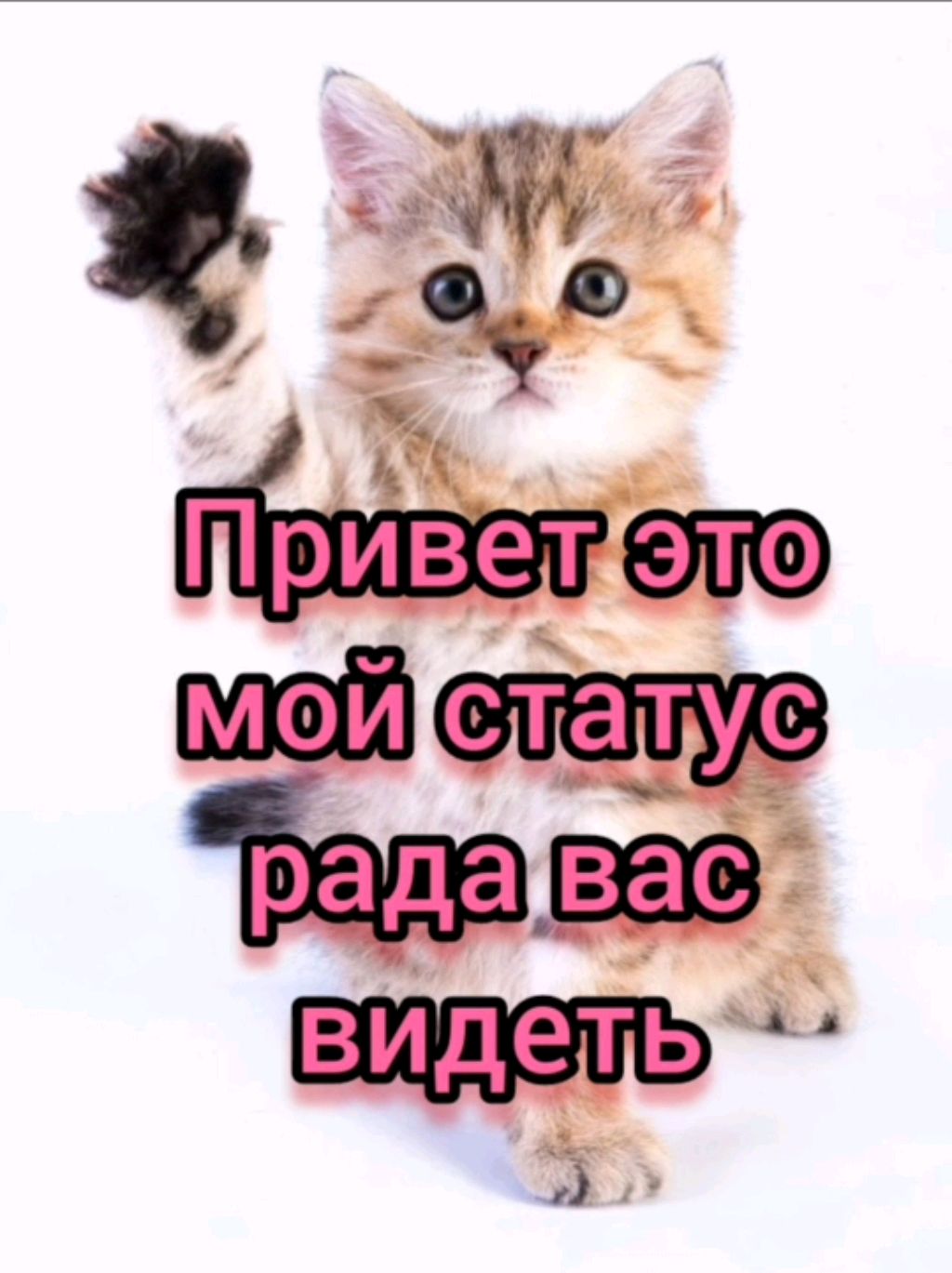 старые видео 😿 смотреть онлайн