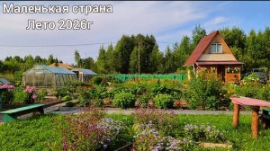 Дача моей подруги