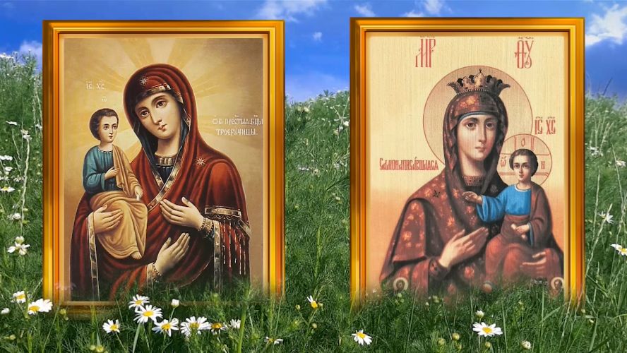 25 июля день Прокла. Проклова роса осчастливит красотой и одарит здоровьем. смотреть онлайн