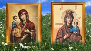 25 июля день Прокла. Проклова роса осчастливит красотой и одарит здоровьем.